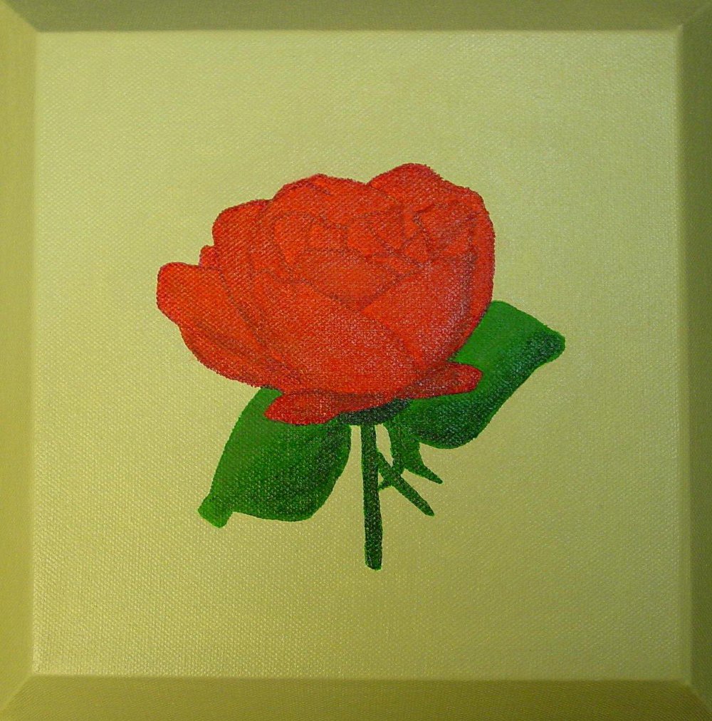 2007-maart-acrylverf-op-doek-30-x-30-cm-roos