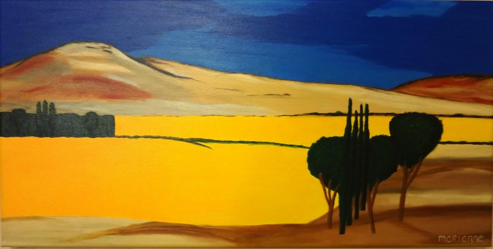 2012-maart-olieverf-op-doek-40-x-80-cm-zand-landschap
