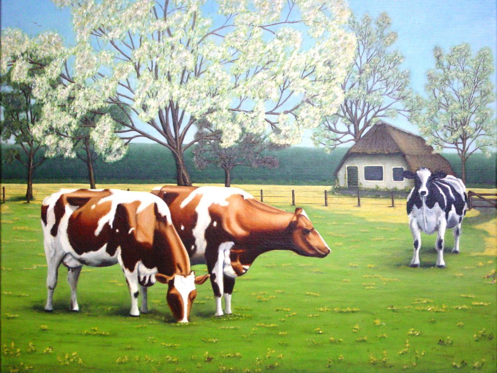 2003-maart-olieverf-op-doek-40-x-50-cm-koeien