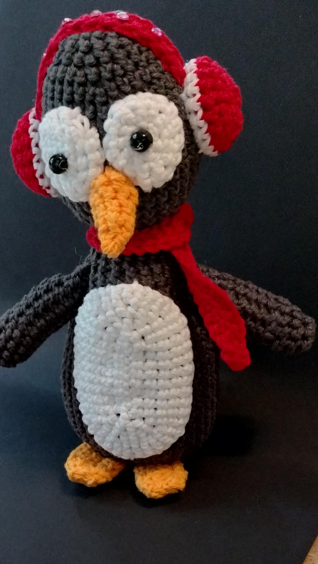 2025-juni-pinguïn