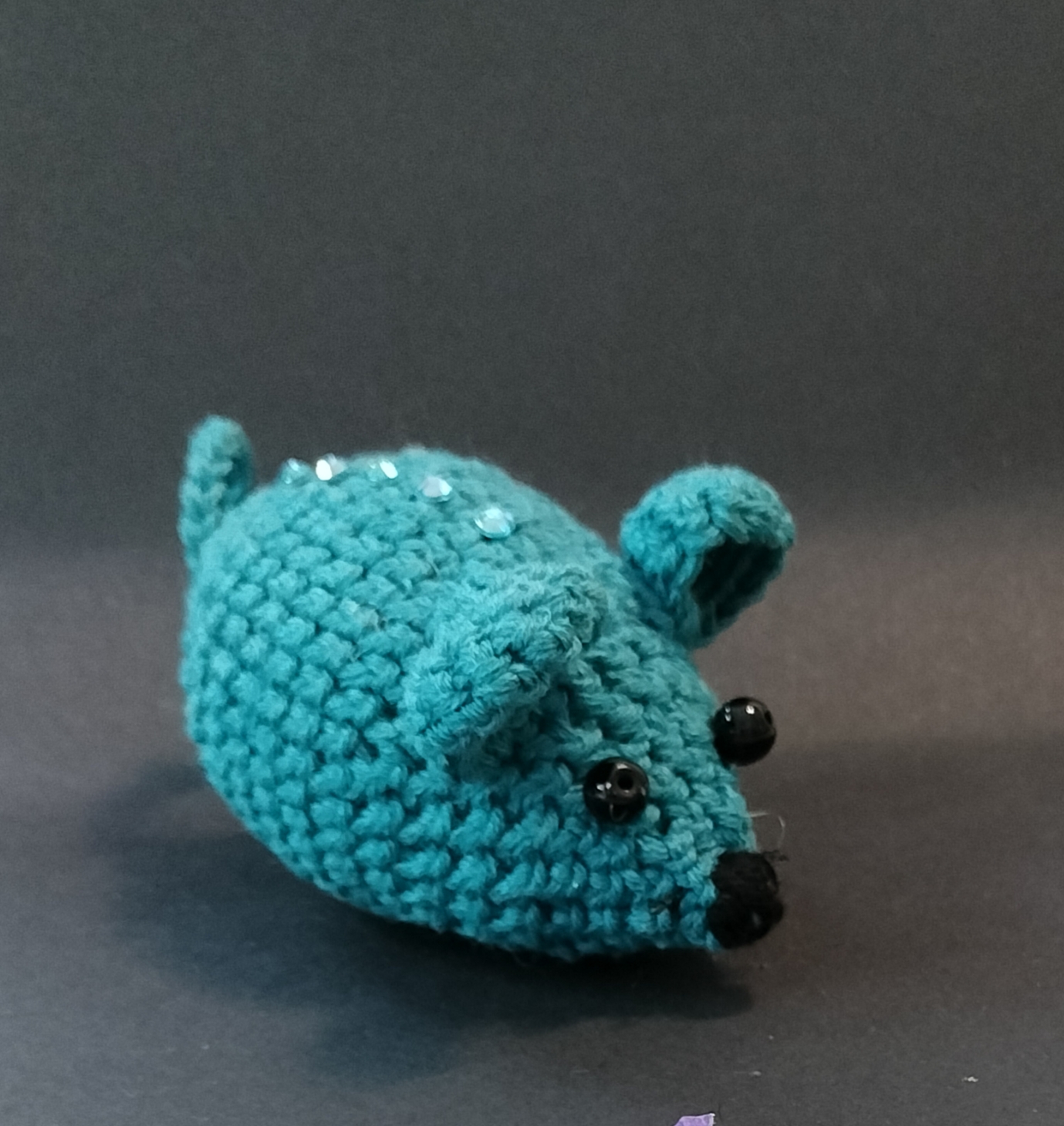 2025-maart-muis